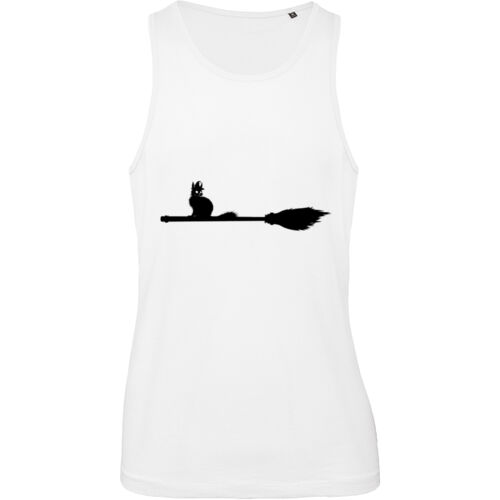 Cat on a broom Thumbnail