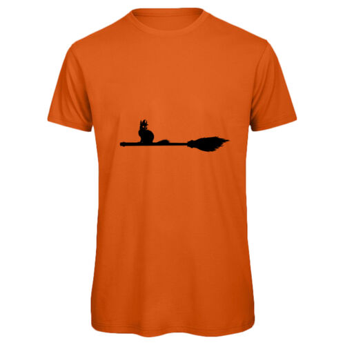 Cat on a broom Thumbnail