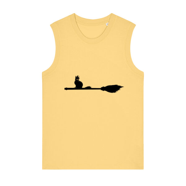 Cat on a broom Thumbnail