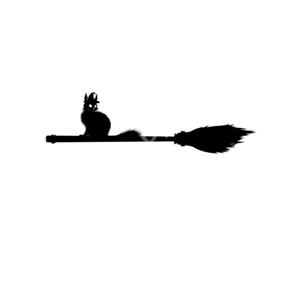Cat on a broom Thumbnail